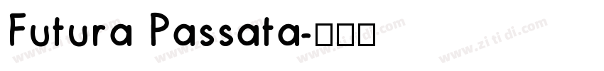 Futura Passata字体转换